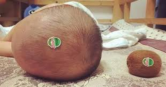 Saw a interesting thing